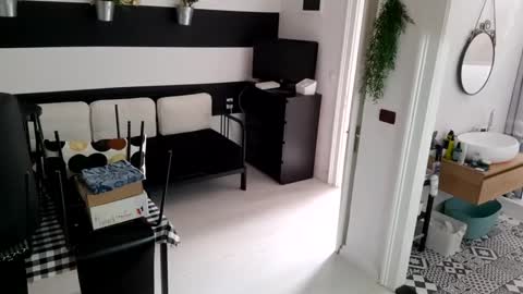 Snapshot of apollobest77 chatting on January 19, 2025, 12:17 pm apollobest77 online show from January 19, 2025, 12:17 pm