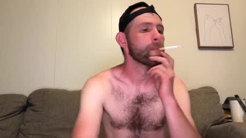 archibears online show from June 7, 2026, 4:49 am