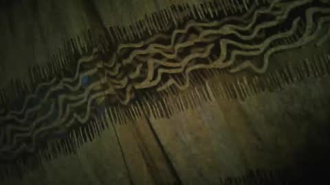 olo online show from November 24, 2025, 4:34 am