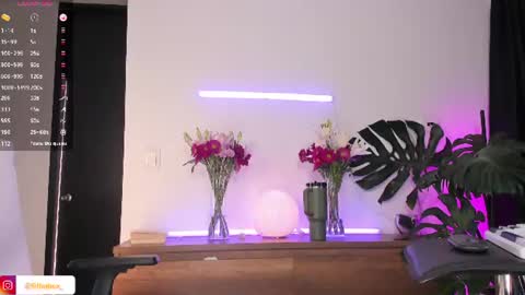 Snapshot of ariana_fitl chatting on July 9, 2026, 8:02 pm DaniAri - dimension X at night NY time online show from July 9, 2026, 8:02 pm