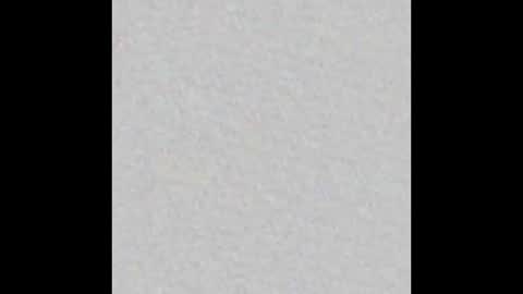 Arianna Collins online show from January 17, 2026, 11:37 am