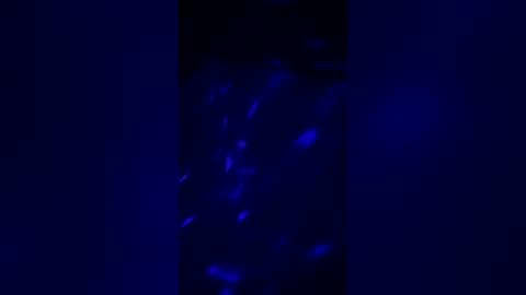 arielanne online show from July 30, 2026, 3:27 am