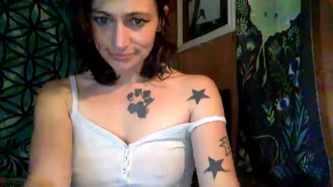 Snapshot of arielwyld chatting on December 1, 2024, 7:36 pm ariel colin when hes here online show from December 1, 2024, 7:36 pm