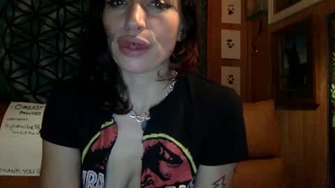 Snapshot of arielwyld chatting on January 11, 2025, 11:46 pm ariel colin when hes here online show from January 11, 2025, 11:46 pm