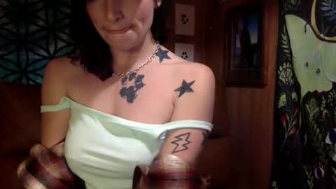 Snapshot of arielwyld chatting on February 21, 2025, 12:49 am ariel colin when hes here online show from February 21, 2025, 12:49 am