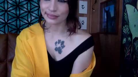 Snapshot of arielwyld chatting on February 22, 2025, 3:58 pm ariel colin when hes here online show from February 22, 2025, 3:58 pm