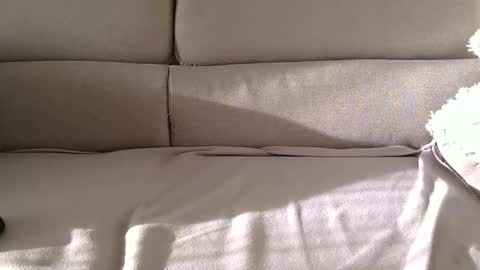 arpinopeer3055 online show from November 5, 2025, 8:14 am