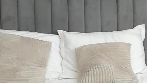 AryaTessa online show from February 25, 2025, 8:36 am