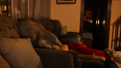 Troy online show from January 15, 2025, 6:08 pm