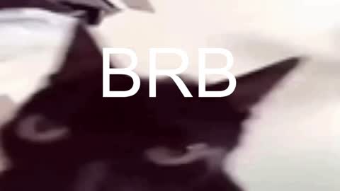 AshleyAshe  online show from January 17, 2025, 11:29 pm