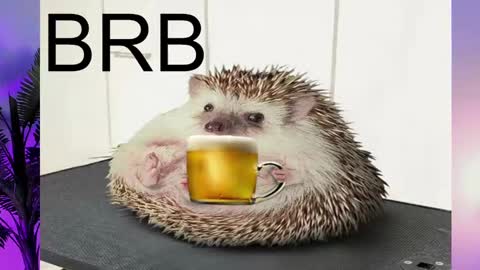 AshleyAshe  online show from February 16, 2025, 8:22 pm