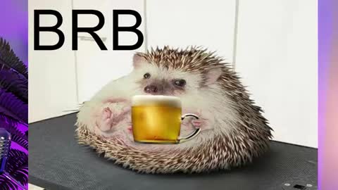 AshleyAshe  online show from February 16, 2025, 11:26 pm