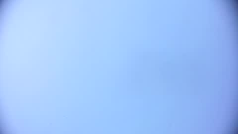 ashlybenison online show from February 2, 2025, 5:32 am