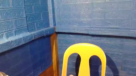 asian_decy online show from February 20, 2026, 2:30 am