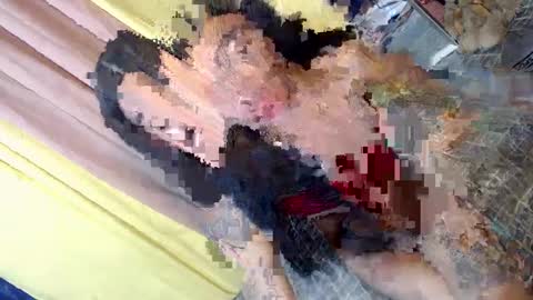 don online show from January 30, 2025, 2:58 pm