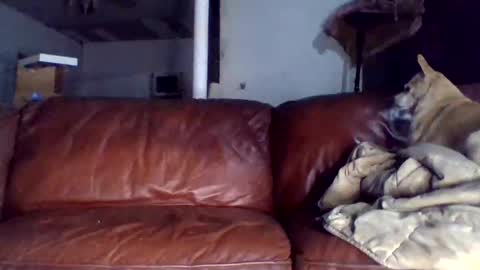 Tell me spread and Ill spread online show from December 15, 2025, 1:43 am