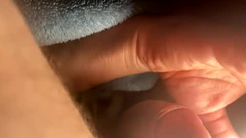 asterwix online show from September 21, 2025, 1:46 pm