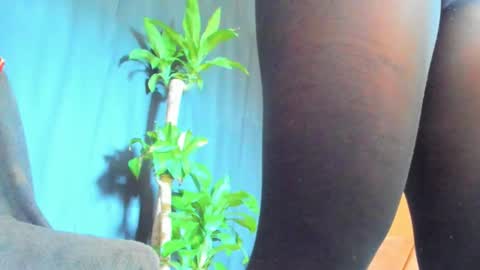 Snapshot of audry_montero1 chatting on February 14, 2026, 1:52 pm Audry online show from February 14, 2026, 1:52 pm