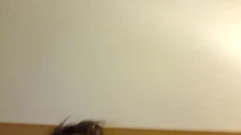 aussie_dadbod6969 online show from May 3, 2026, 1:44 am