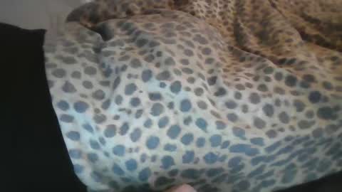 Snapshot of aussiecockpumper76 chatting on March 4, 2025, 5:21 am Aussiecockpumper76 online show from March 4, 2025, 5:21 am