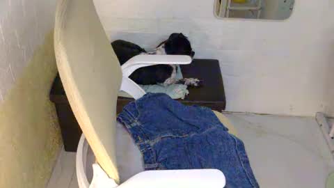 Rhian online show from September 9, 2025, 2:49 pm