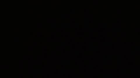 Alex online show from February 3, 2026, 5:16 am