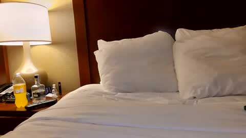 Snapshot of axensen30 chatting on January 19, 2025, 2:36 am AdamIndica online show from January 19, 2025, 2:36 am