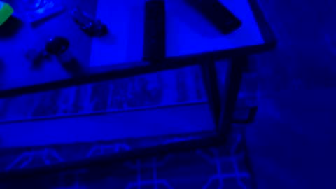 AylaTy online show from September 28, 2025, 6:30 am