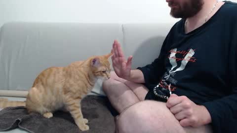 Azer online show from November 28, 2025, 10:56 pm