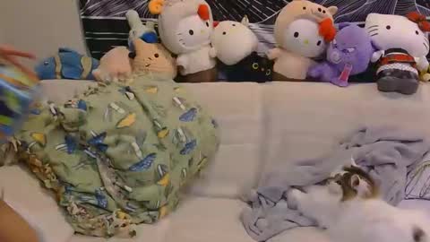 aznp1ea5er online show from February 19, 2026, 4:19 am