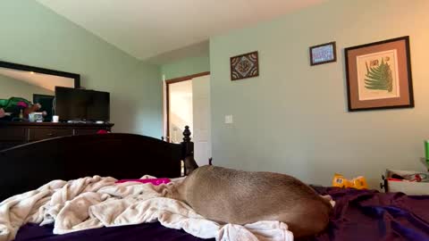 blue online show from April 4, 2026, 9:45 pm