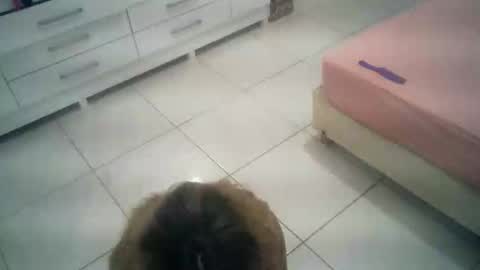 babyluna16 online show from October 4, 2025, 6:06 pm