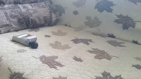 babymom1 online show from March 9, 2025, 2:21 pm