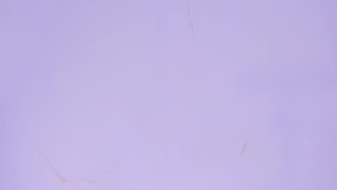 Snapshot of babyvale_ chatting on May 10, 2026, 8:47 pm Valentina online show from May 10, 2026, 8:47 pm