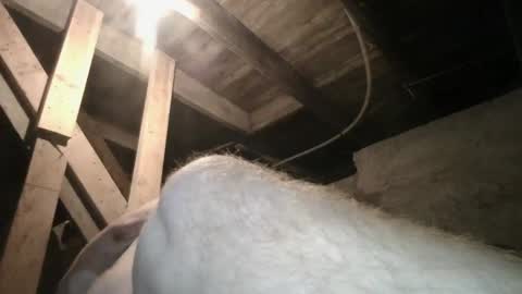 Snapshot of babyxxxangel chatting on September 20, 2025, 9:43 am babyxxxangel online show from September 20, 2025, 9:43 am