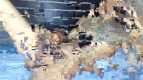 Snapshot of bad_dawgg chatting on February 3, 2026, 6:40 am rastafaria online show from February 3, 2026, 6:40 am