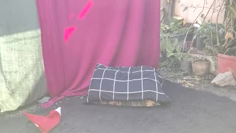 bad_wolf28 online show from November 25, 2025, 10:26 am