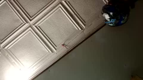 StillPoPimpin online show from January 18, 2025, 10:06 am