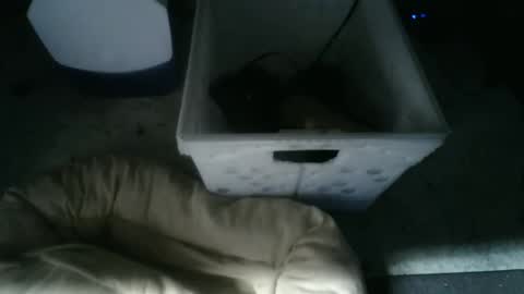 Snapshot of balls_deep_209 chatting on November 10, 2025, 9:19 am boton online show from November 10, 2025, 9:19 am