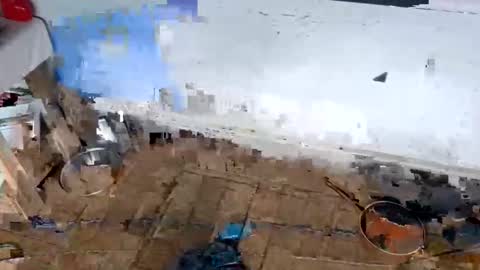 Snapshot of ballshanginglowaf chatting on February 1, 2026, 12:31 am ballshanginglowaf online show from February 1, 2026, 12:31 am