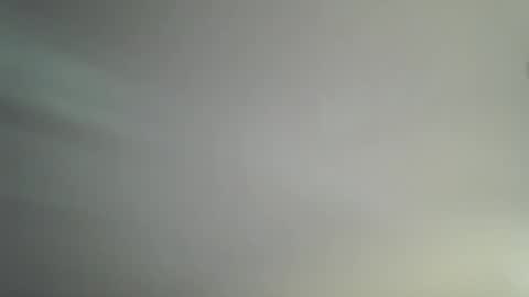 Bambi online show from April 14, 2026, 11:16 am