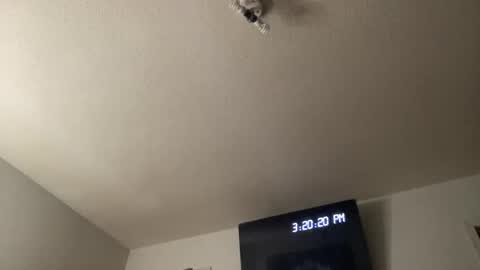 Snapshot of bankofchell chatting on March 25, 2026, 7:20 pm Chelly online show from March 25, 2026, 7:20 pm