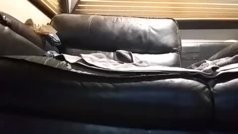 baobabtree8 online show from September 26, 2025, 12:53 pm