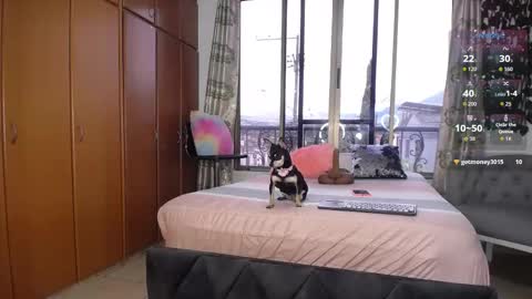 Snapshot of barbiefoxx chatting on January 10, 2026, 3:36 pm Barbiefoxx online show from January 10, 2026, 3:36 pm