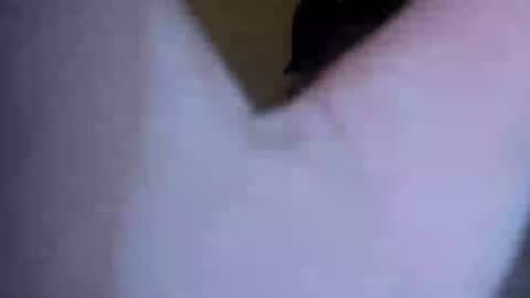 barniemay1 online show from July 5, 2026, 4:41 am