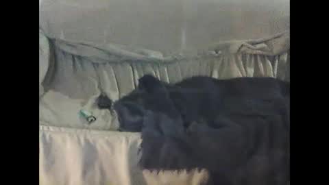 barrysand online show from September 23, 2025, 2:14 am