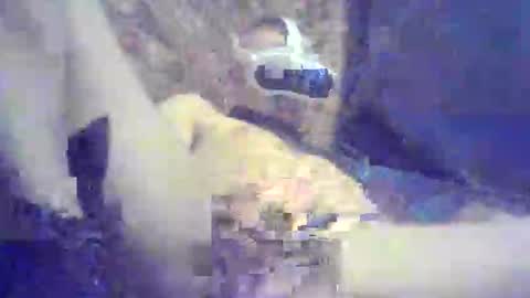 bartbartek online show from May 16, 2026, 5:34 pm