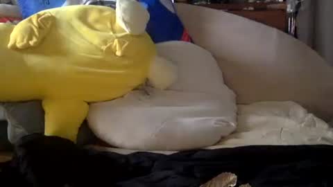 batorbrobos online show from January 17, 2026, 2:55 pm