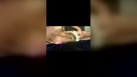 Baz online show from January 18, 2026, 11:52 pm