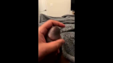 Snapshot of bbc4_fun chatting on February 23, 2025, 6:07 am bbc4_fun online show from February 23, 2025, 6:07 am